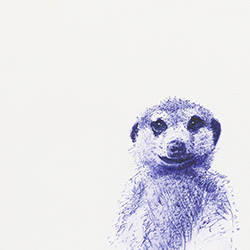 Ballpoint Pen Drawings 02