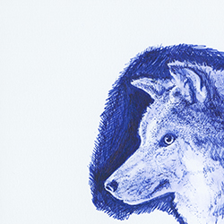 Ballpoint Pen Drawings 03