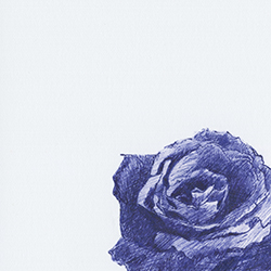 Ballpoint Pen Drawings 04