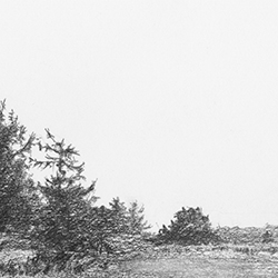 Pencil Drawings 01 Thumbnail