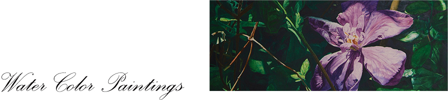 Water Color Paintings