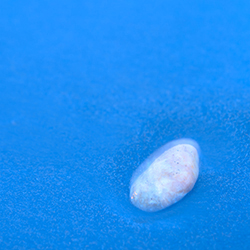 Color Photography 04 Thumbnail