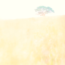 Color Photography 07 Thumbnail