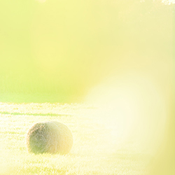 Color Photography 08 Thumbnail