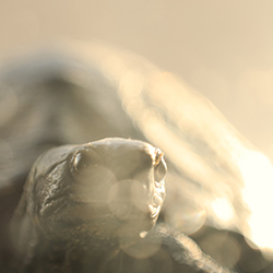 Color Photography 09 Thumbnail