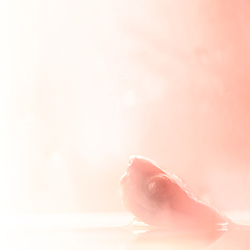 Color Photography 10 Thumbnail