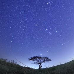 Color Photography 11 Thumbnail