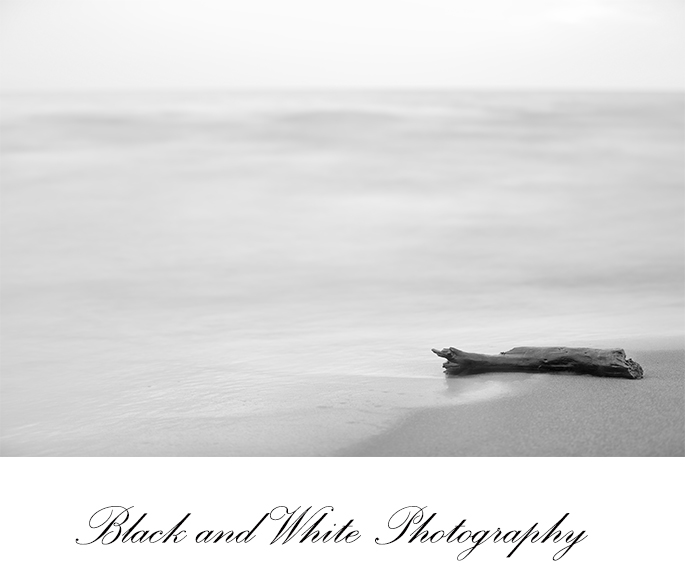 Black and White Photography